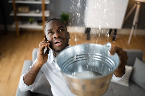 Best Water damage contractors near me  in Midvale, UT