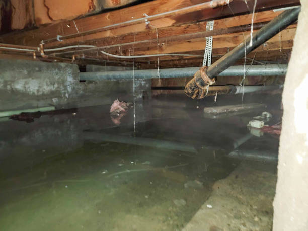 Best 24/7 water damage repair  in Midvale, UT