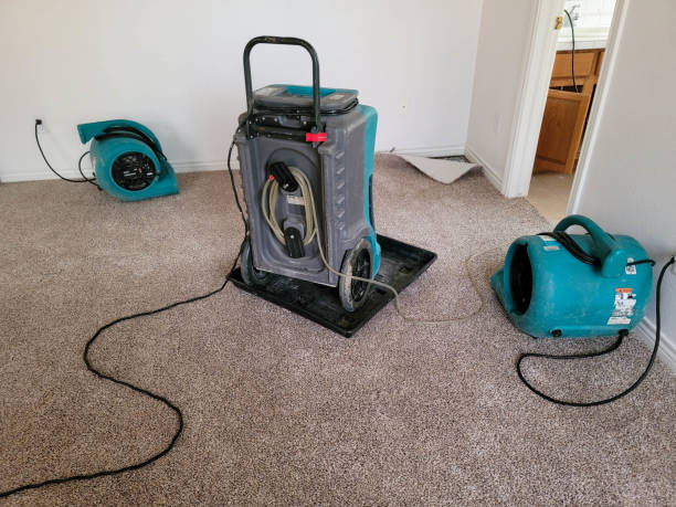 Best Professional water damage repair  in Midvale, UT