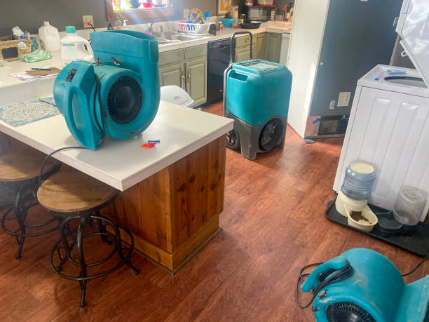 Best Water damage restoration near me  in Midvale, UT