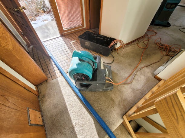 Best Water damage contractors near me  in Midvale, UT