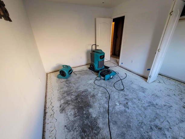 Trusted UT Water damage restoration Experts