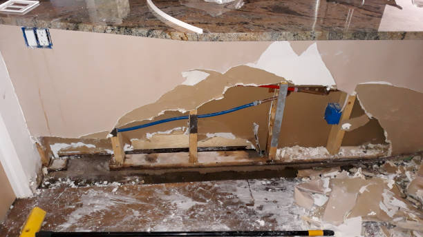 Best Ceiling water damage repair  in Midvale, UT