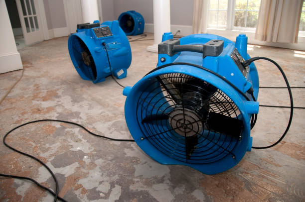 Best Water damage restoration services  in Midvale, UT