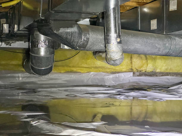 Best Water damage cleanup near me  in Midvale, UT