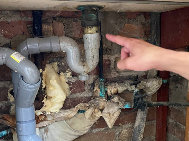 Best Flooded house restoration  in Midvale, UT