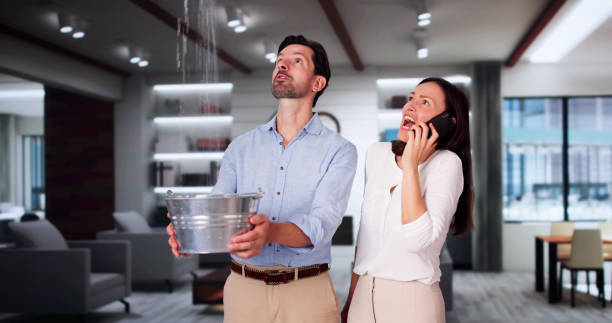 Best Mold removal after water damage  in Midvale, UT